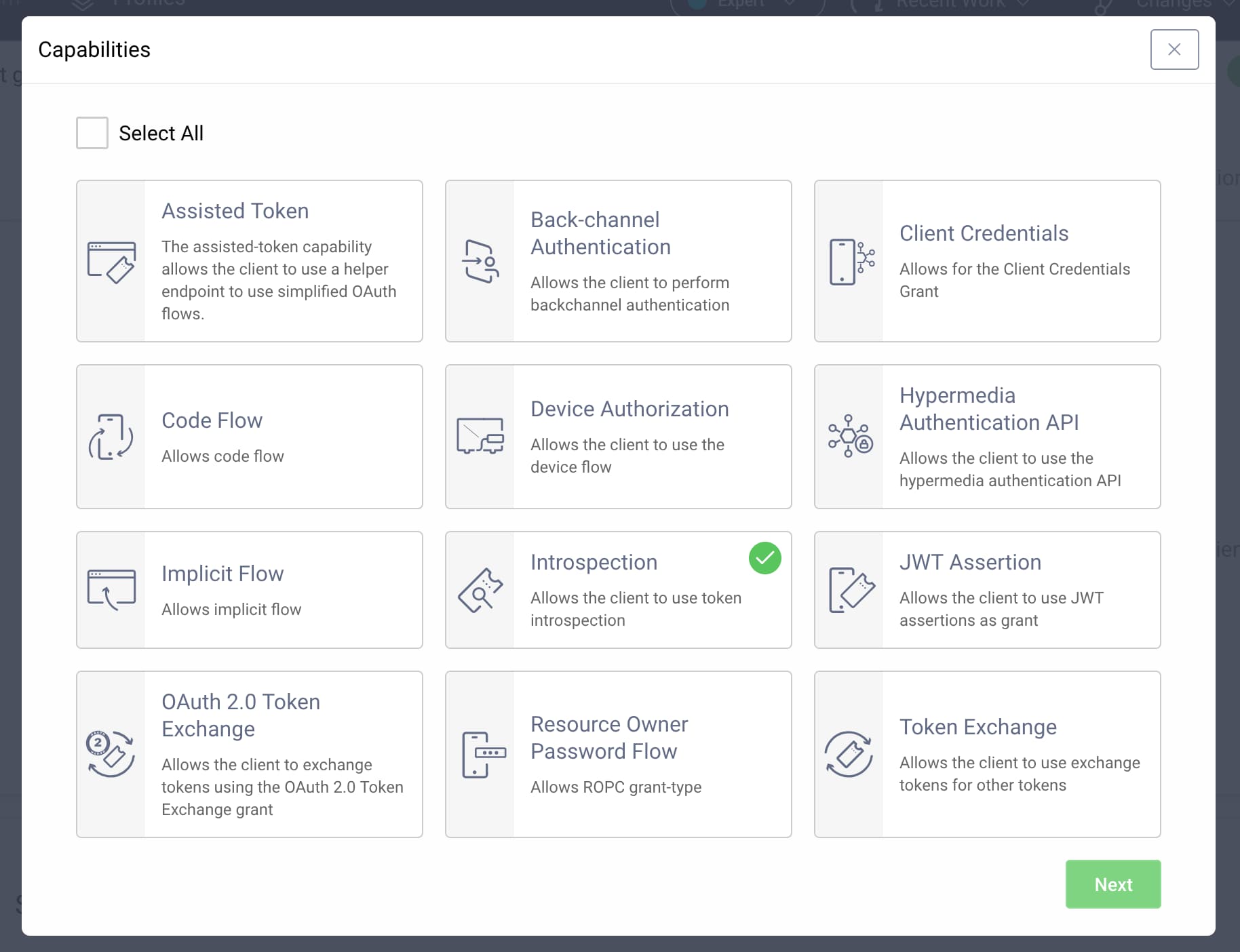 Enable introspection capability Form showing available client capabilities with introspection selected